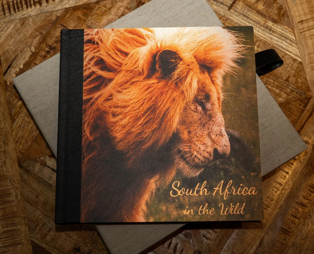 South Africa in the Wild – En konstupplevelse i bokform